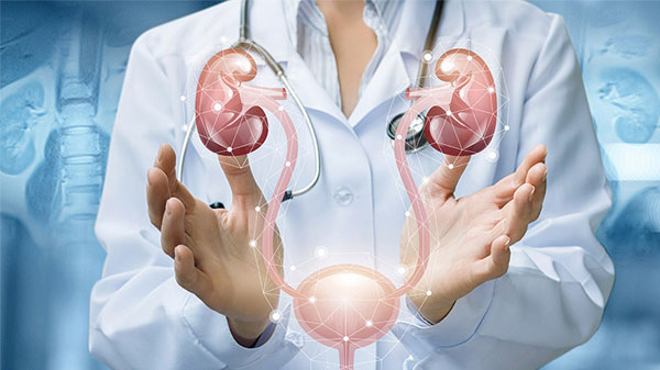 El mejor cirujano urólogo de México