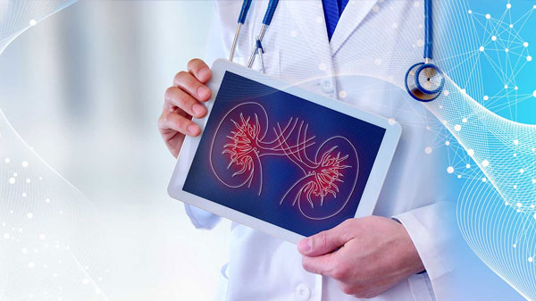 Médico especialista en próstata