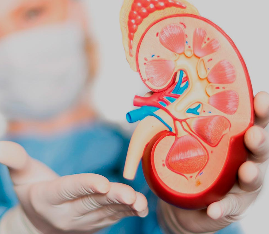 preguntas Urología en CDMX