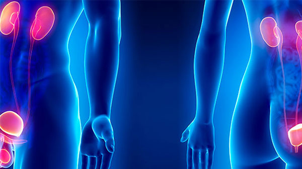 Urólogo en Cuauhtémoc